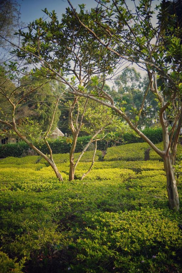 The Regalia Munnar Hotel Exterior photo
